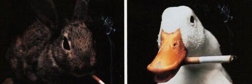 Gross Gabbagool banner