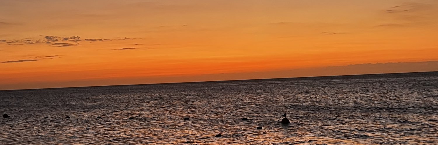 LauraBoenheim's profile banner image