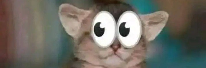 LeTurtleLe's profile banner image