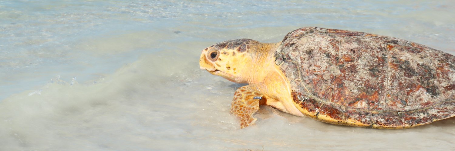 Mote Marine Laboratory & Aquarium banner