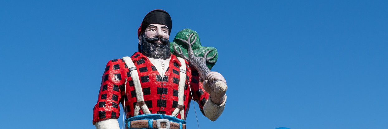 Michigan Enjoyer's banner