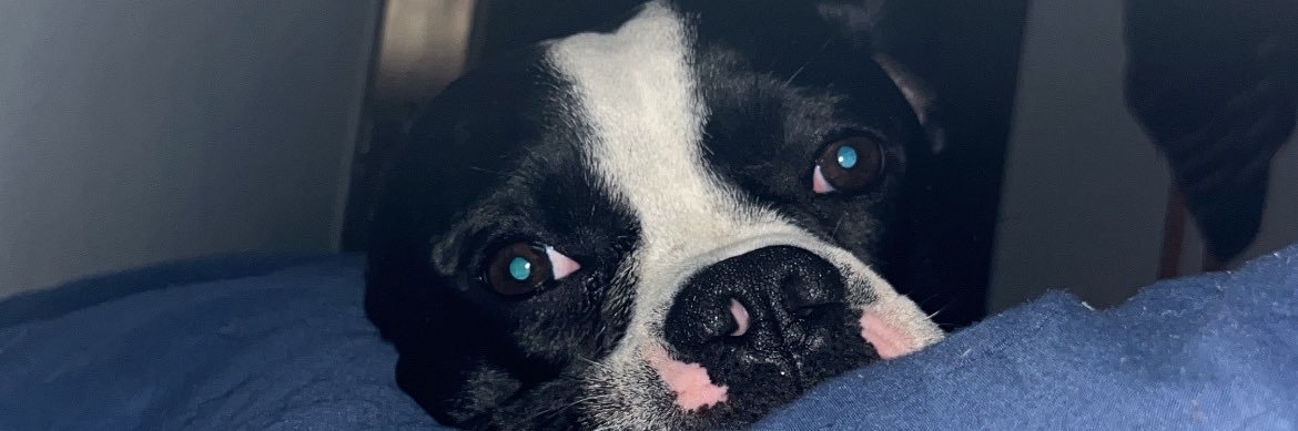 gabsbezerras's profile banner image
