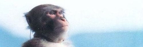 Smythl0's profile banner image