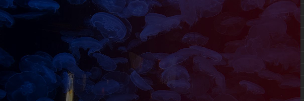 Libbby___'s profile banner image