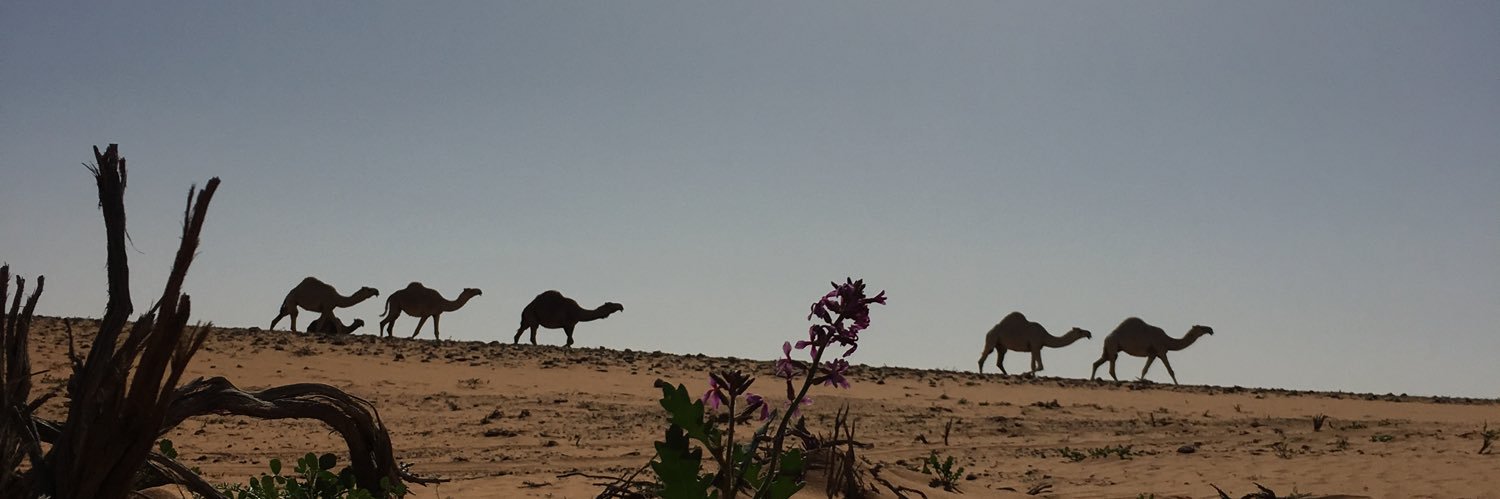 بو متعب banner