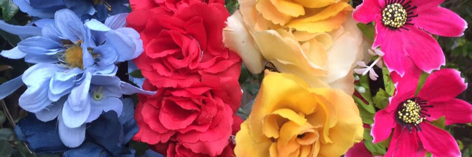 carocui's profile banner image