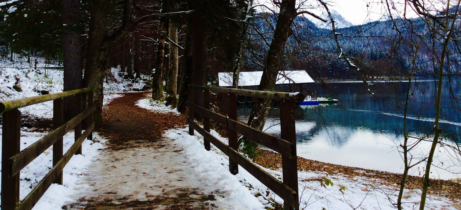 dianitab52's profile banner image