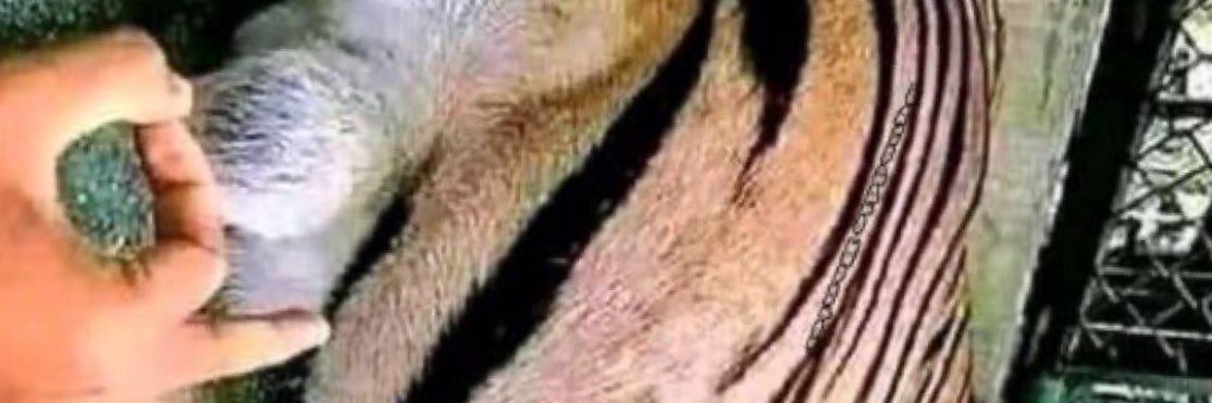 LeakyButthole banner