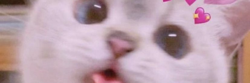 david_avii's profile banner image