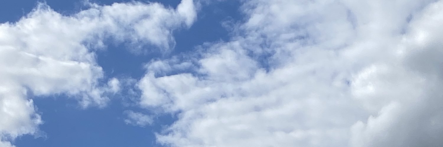 claril0b's profile banner image