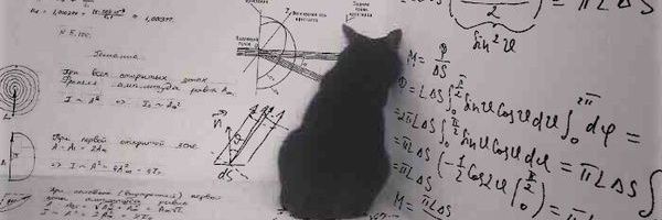 Teresa Carter banner