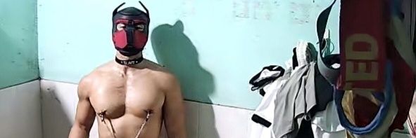 Dog Mưng 🐶 (SLAVE DOG OF SHIN) banner