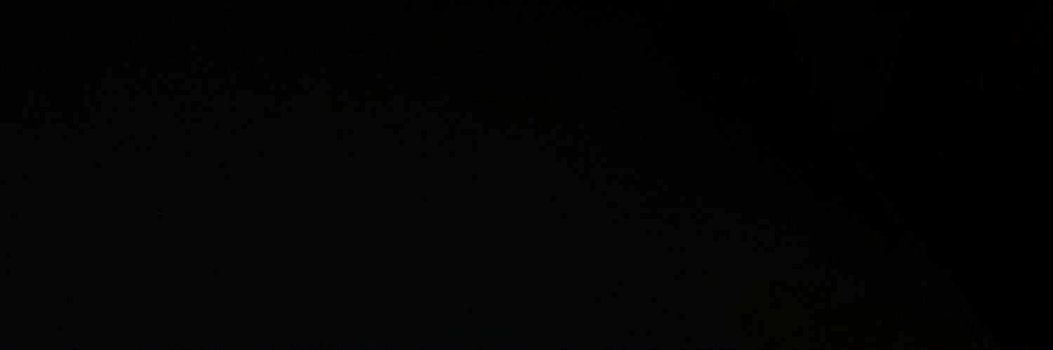 h03lly's profile banner image