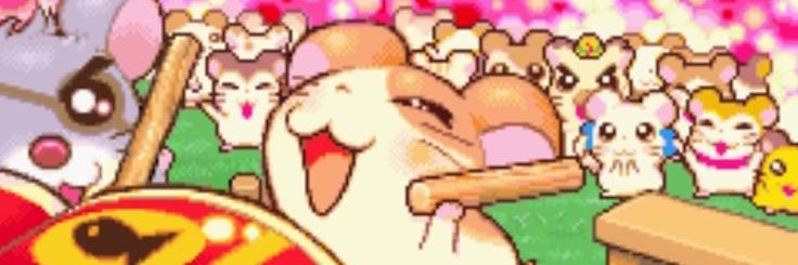 reno banner