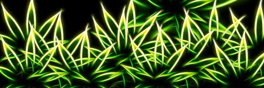 slimeymizzy's profile banner image