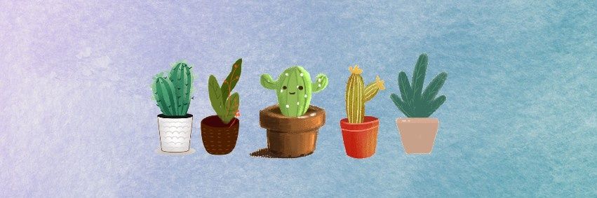bibicactus's profile banner image