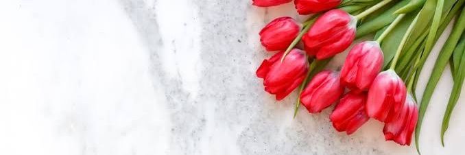 すん。(ツイフィ必読) banner