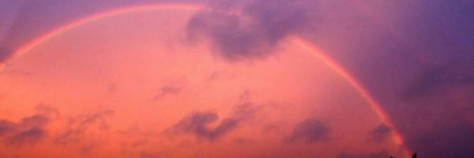 vi7inho_'s profile banner image