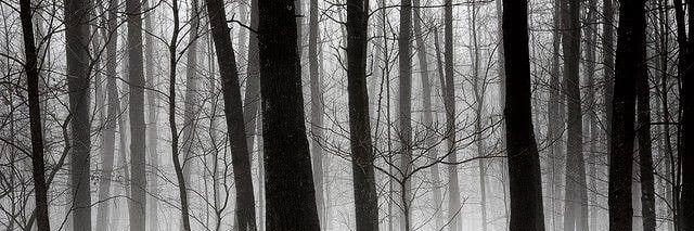 ``жахіття. banner