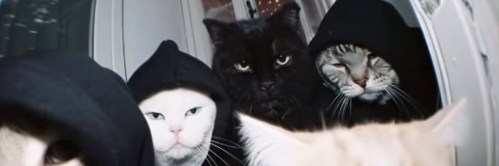 partofsociety_'s profile banner image