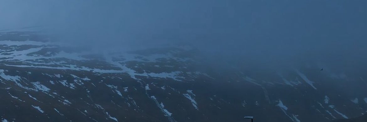 noreaster ☘️🌿 banner