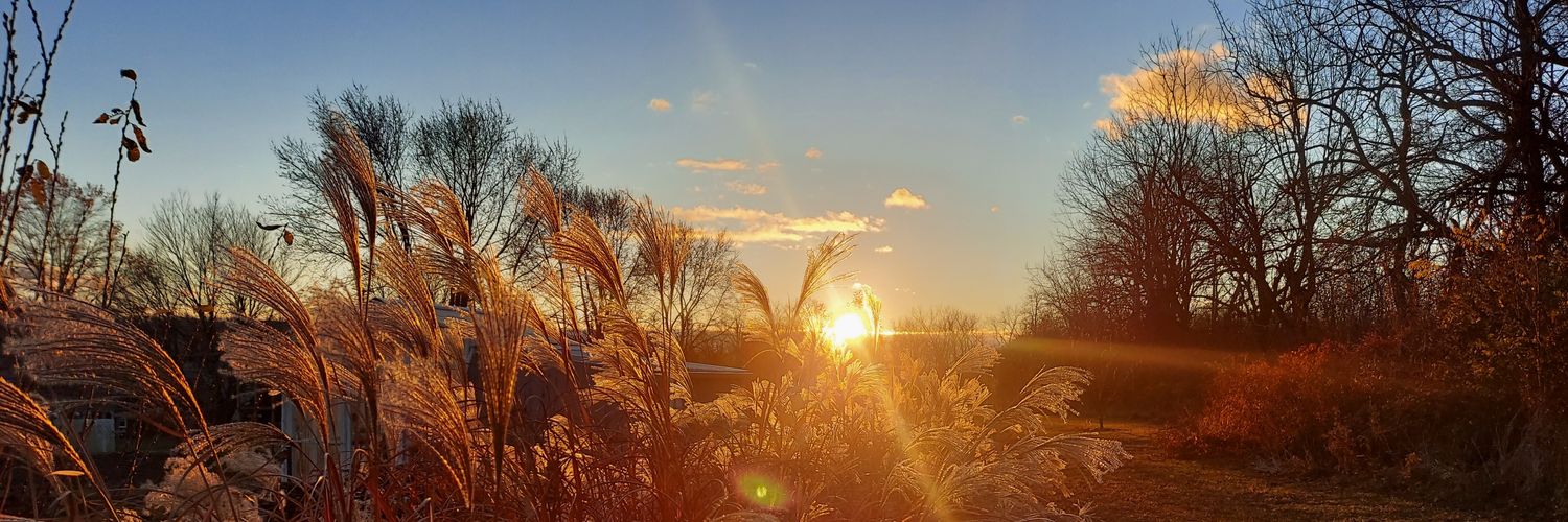 Jared Haselbarth banner