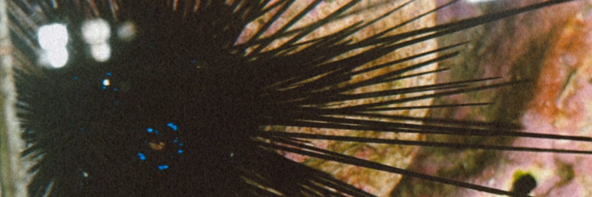 メン魔 banner