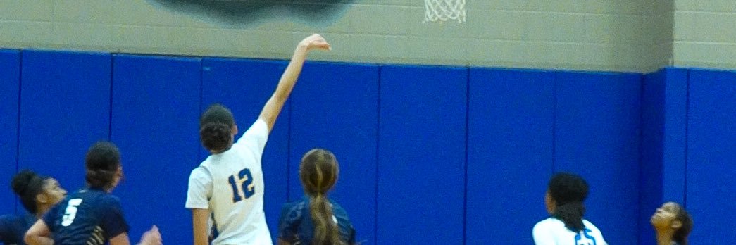 LondynCanHoop's profile banner image