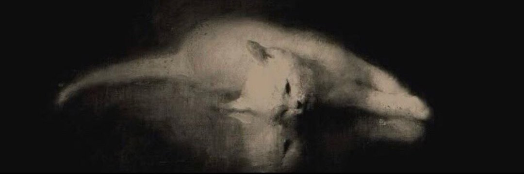 (Fan) Cecefps Daily banner