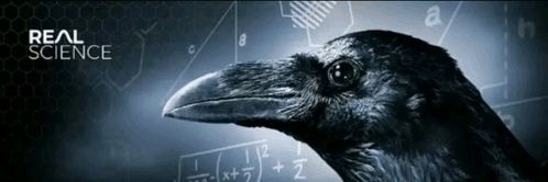 chud✡️🏳️‍⚧️ banner