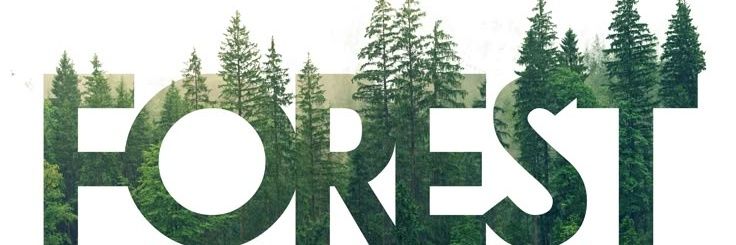 ᴡᴀɴᴅᴇʀ☀︎︎ʟᴏsᴛ 🌿 banner