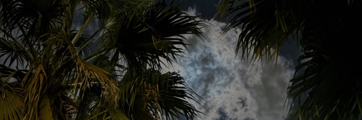 ryfslymn1's profile banner image