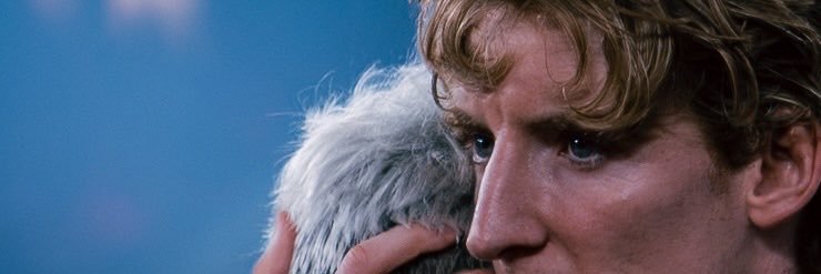 p8udri's profile banner image