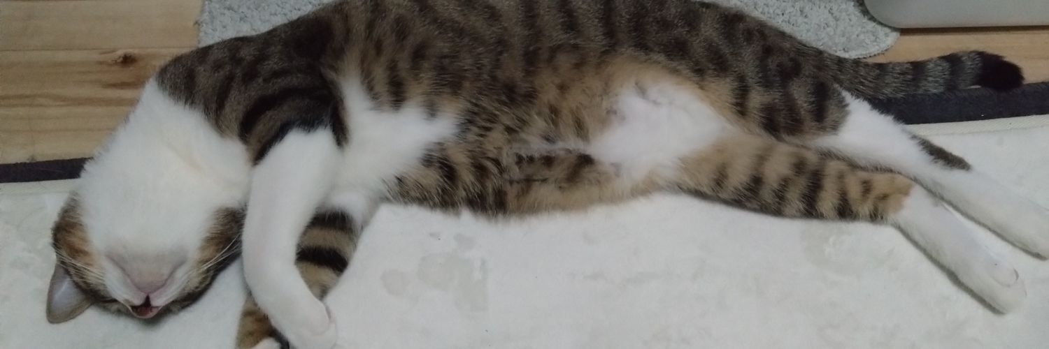 じゅん@❌1 banner