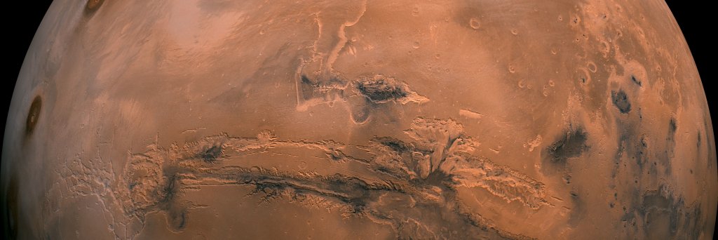 Fred Serricchio banner