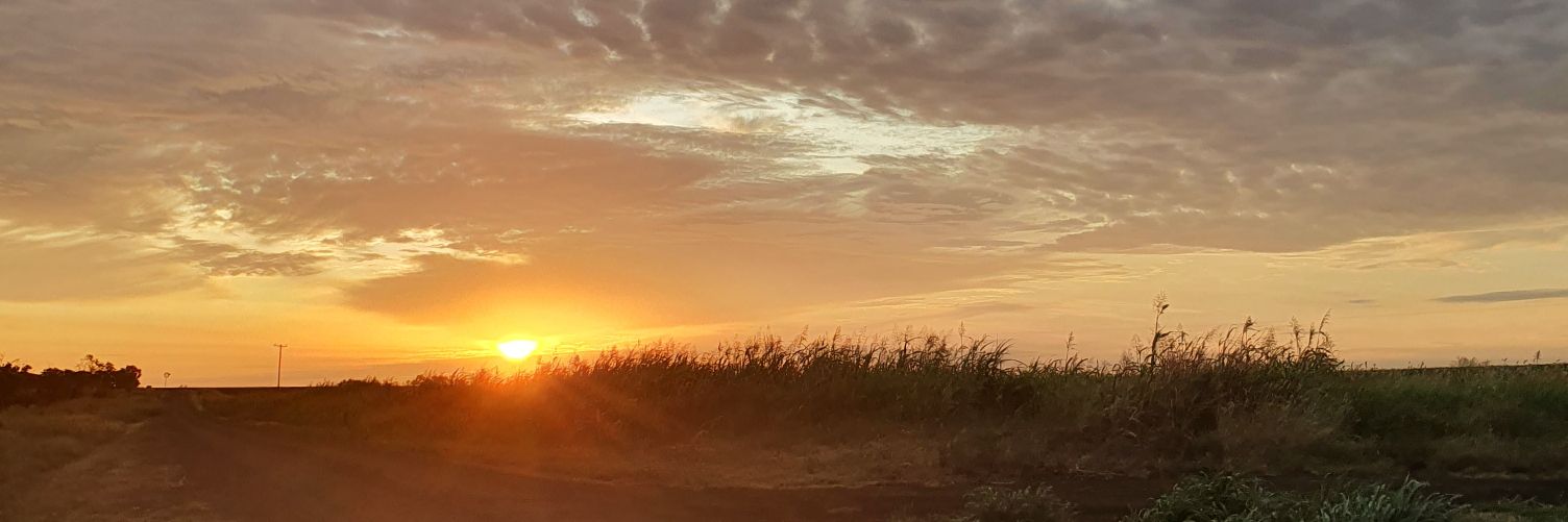 NotAGeckoDecko banner