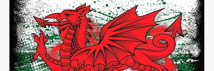 swanseacuddle's profile banner image