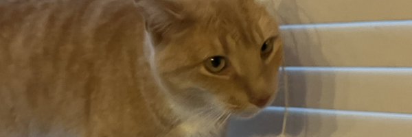 IronEagleRules Profile Banner