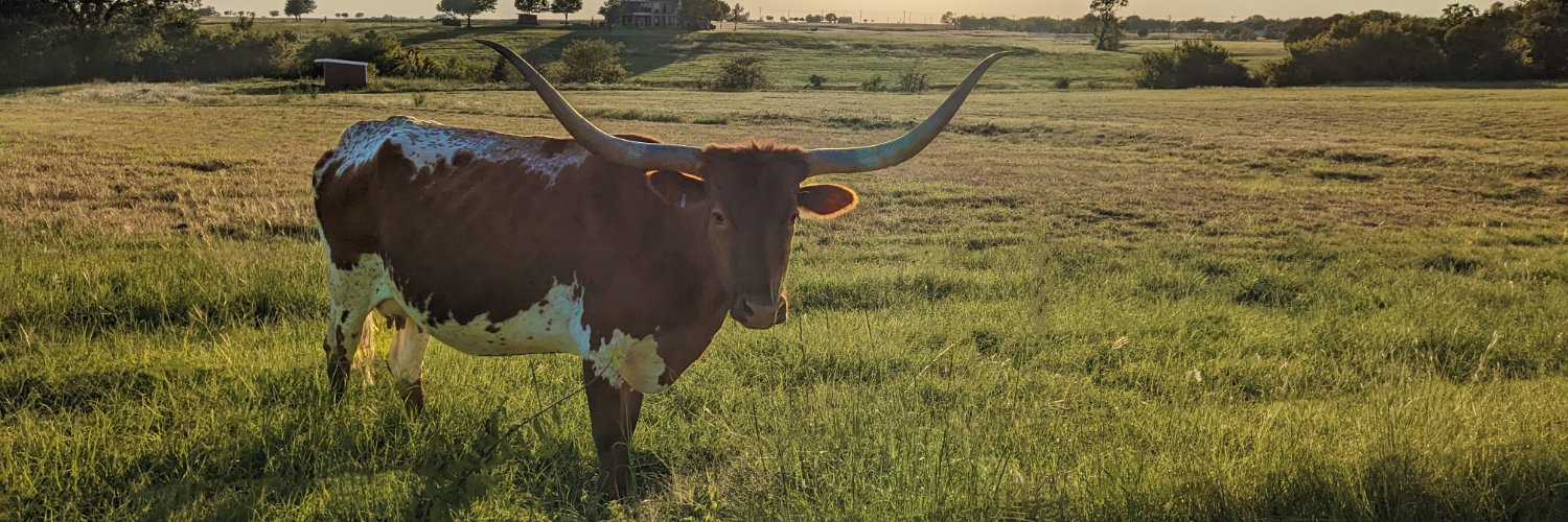 JasonANelson's profile banner image