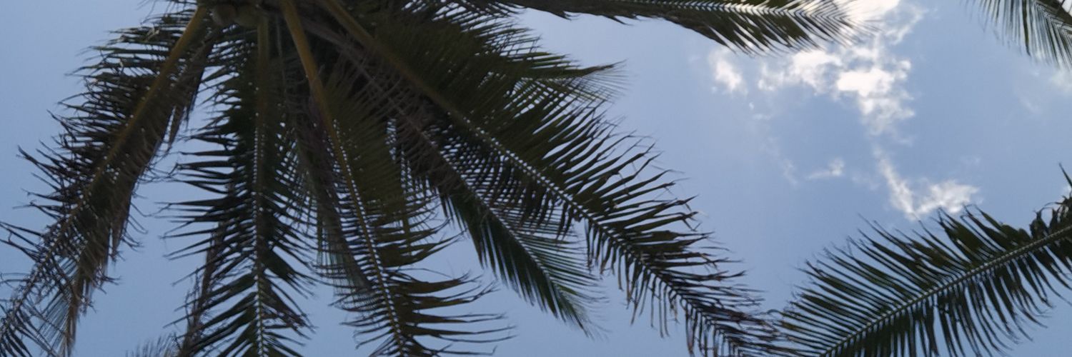 omar_cue's profile banner image