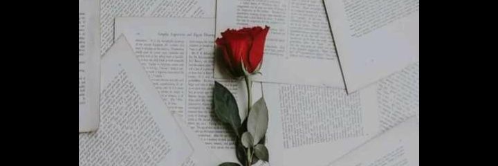 James Trust ( billionaire in the making) banner