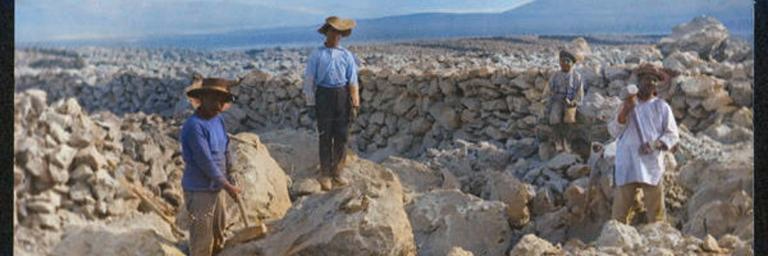 🔥₣ Ø R Ƨ Λ🔥 banner