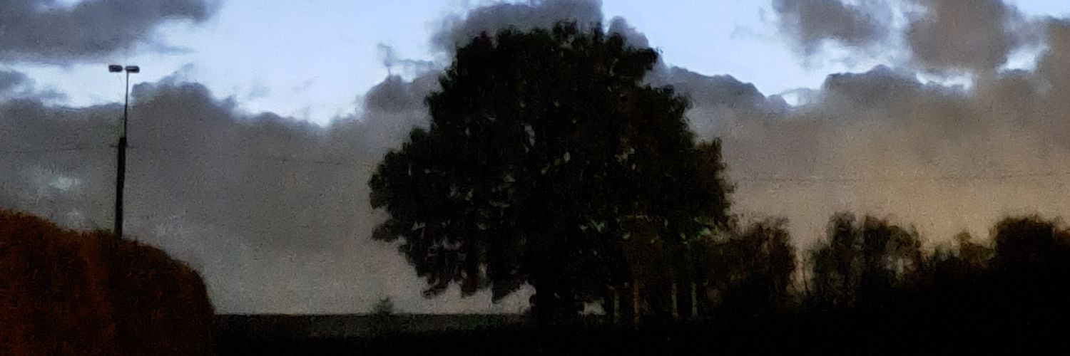 Rayvzz banner