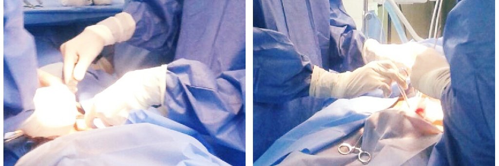 angelsolert's profile banner image