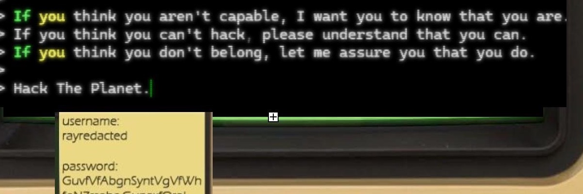 Ray [REDACTED] banner