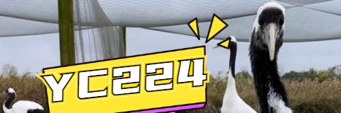 CraneCal117015's profile banner image