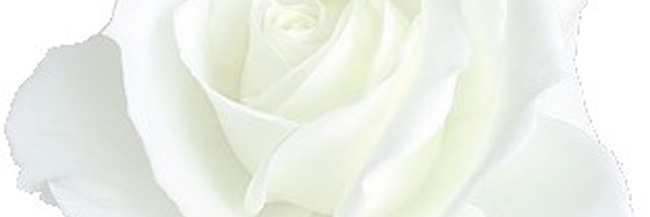 betsylangert's profile banner image