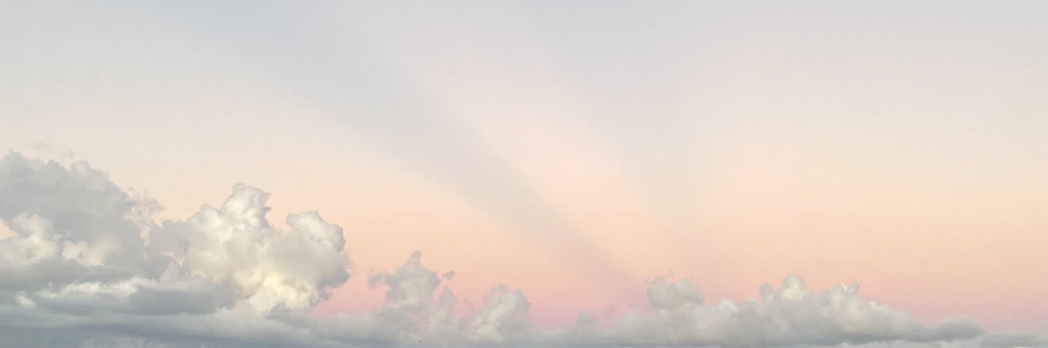 池田智子 ᴛᴏᴍᴏᴋᴏ ɪᴋᴇᴅᴀ banner