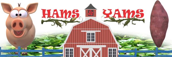 theHAMSandYAMS Profile Banner