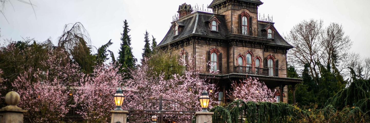 Patate Fan Account 🐶 banner